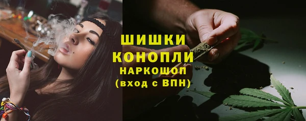 прущие грибы Беломорск