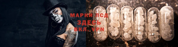 дмт Абаза