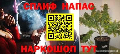 спиды Дубна