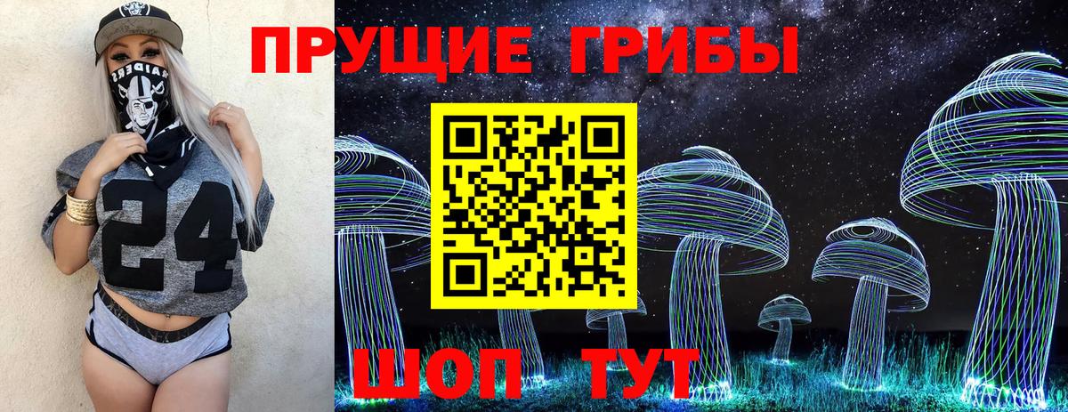Галлюциногенные грибы GOLDEN TEACHER  Галлюциногенные грибы Cubensis  Усть-Илимск  Вход с VPN 